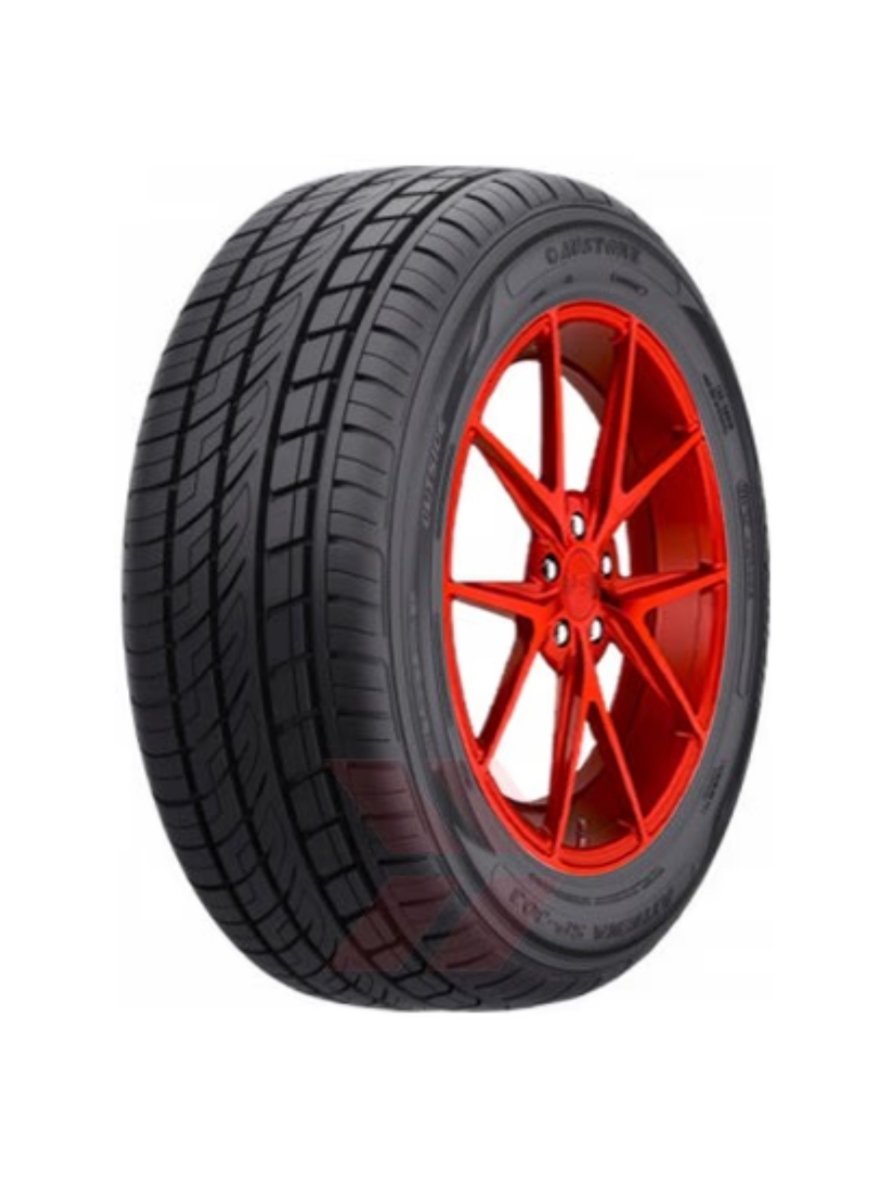 IMG_20251119_172904 Austone T 225/50R 18W XL SP-303 - الصورة 1