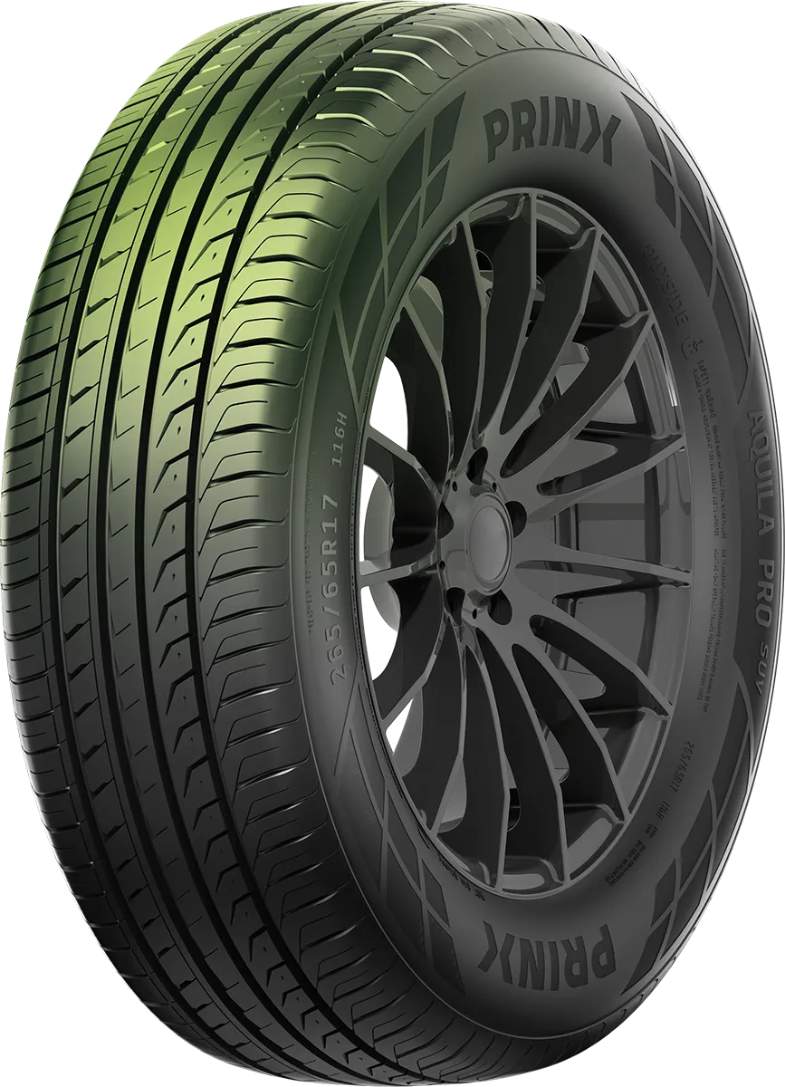 6850387b249f91fea2e3ca41_aquila pro PrinxT 225/55R 19Y XL AQUILA PRO - الصورة 1