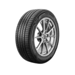 Nexen295/35R21-107W-RO-GTX